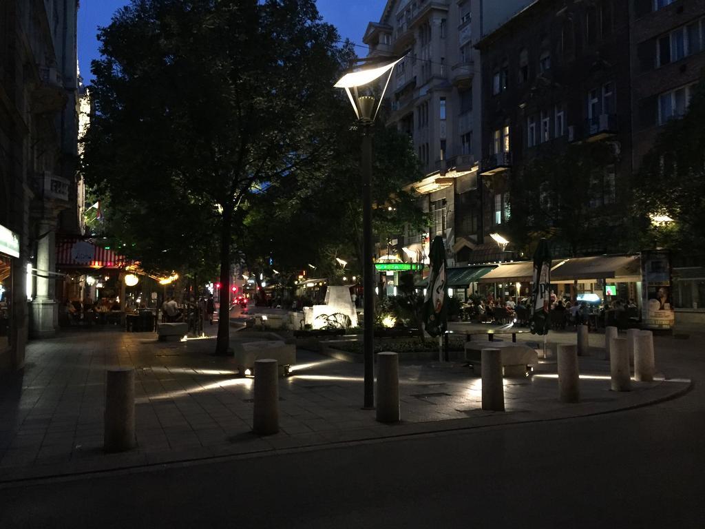 Apartment Near Opera In Downtown Budapest Exterior photo